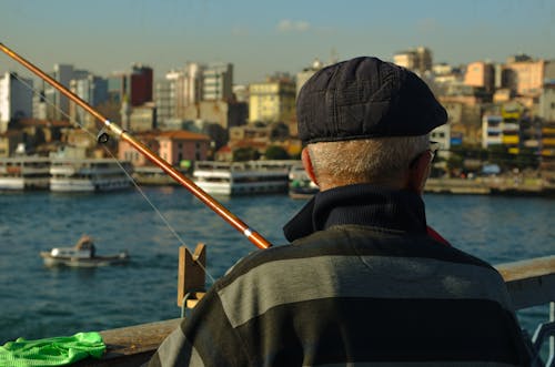 Ilmainen kuvapankkikuva tunnisteilla Istanbul, kalastaja, kalkkuna