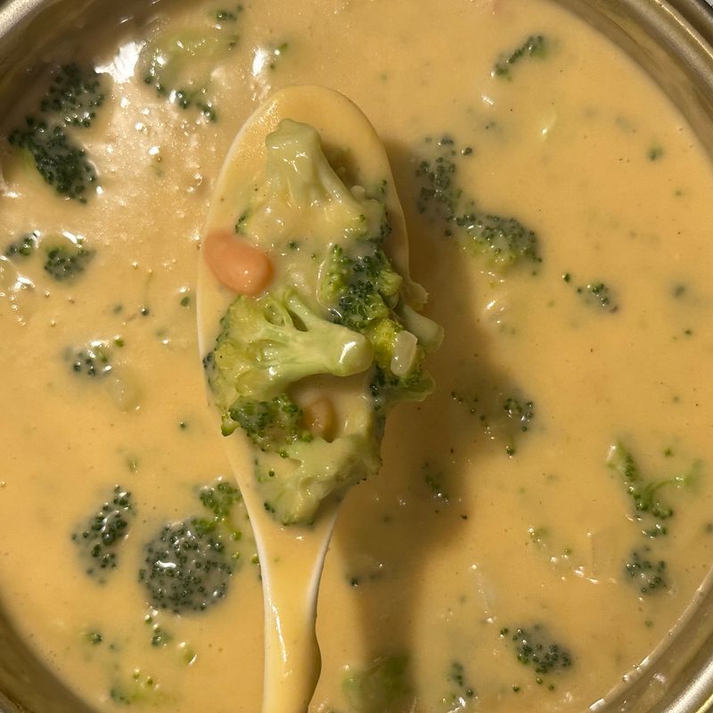 Instant Pot Chicken Broccoli and Cheddar Noodle Soup