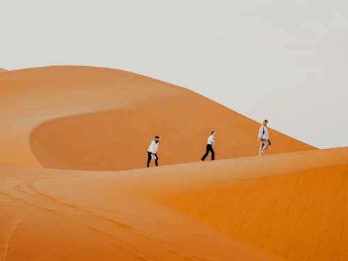 Foto profissional grátis de areia, aventura, deserto