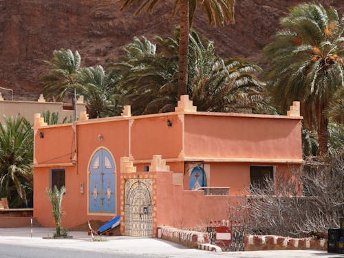 A small house with a palm tree in front of it