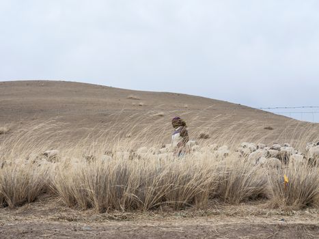 A shepherd tends to a flock of sheep in a dry, grassy landscape under a cloudy sky.
