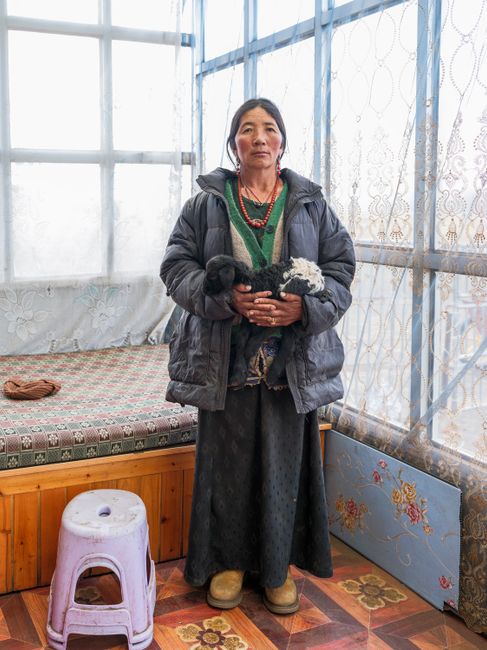 Mongolian woman in traditional attire holding a baby goat inside a cozy room.