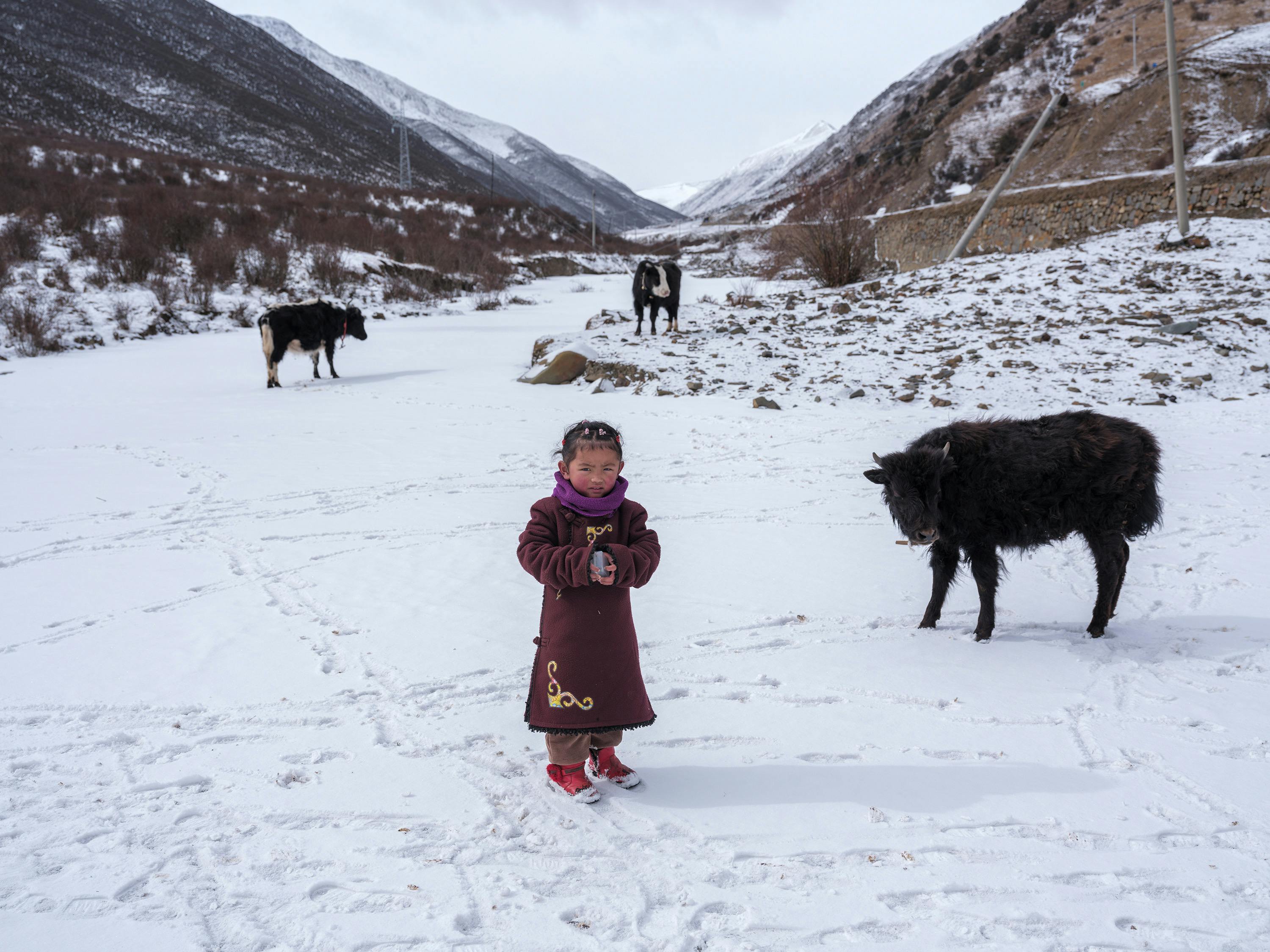 Prescription Goggle Inserts - Young girl in traditional clothing stands with cattle in a snowy rural landscape, highlighting winter's beauty.