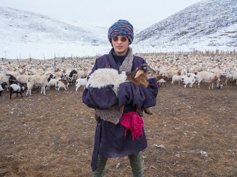 A shepherd stands in a snowy landscape holding a baby goat, surrounded by a herd.