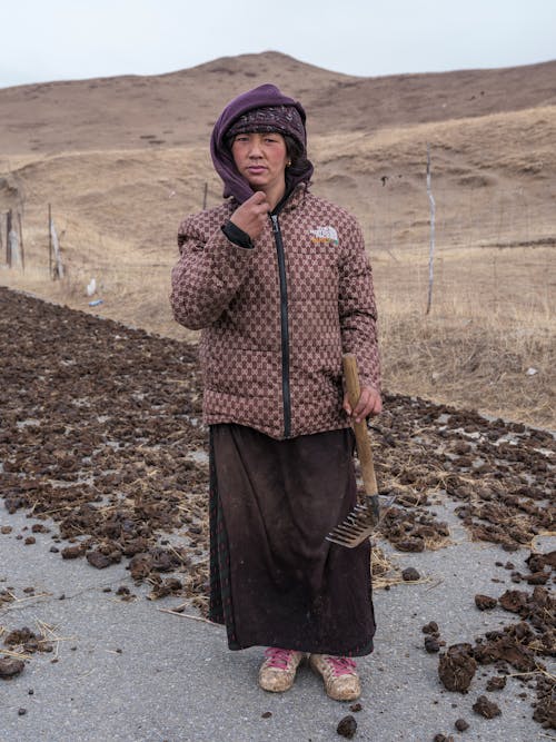 乾旱, 亞洲女人, 兜帽 的 免費圖庫相片