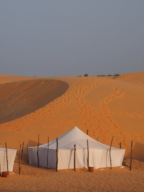 Imagine de stoc gratuită din arid, aventură, bețe