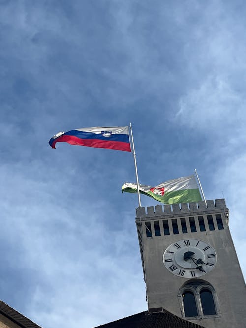 Безкоштовне стокове фото на тему «вітер, Замок, прапор словенії»