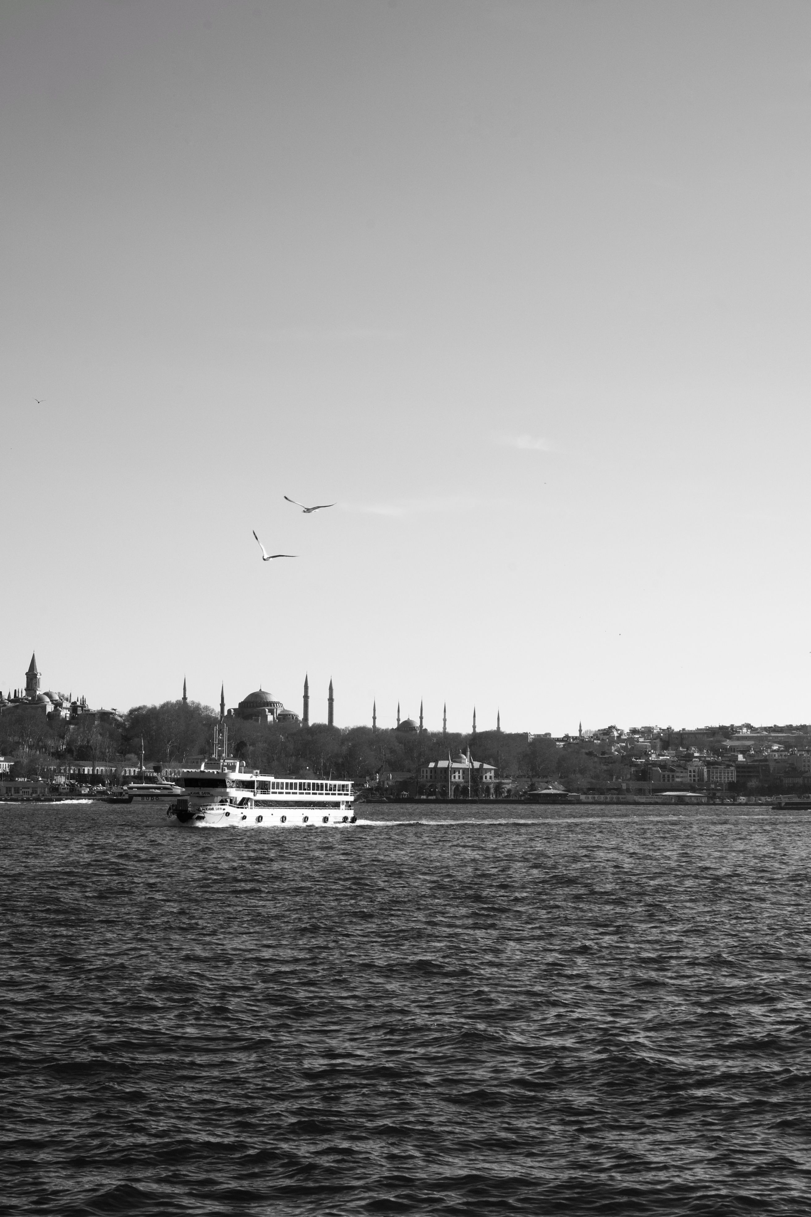 Black and White Photo of a Ferry Crossing the Bosphorus Strait · Free ...