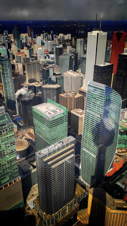 加拿大, 加拿大國家電視塔, 多伦多市中心 的 免费素材图片