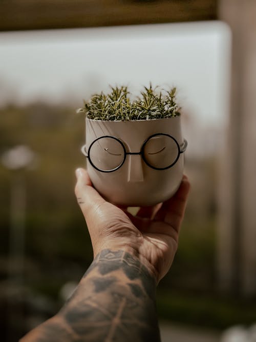 A person holding a plant with glasses on it