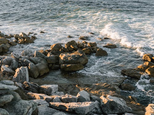 Gratis lagerfoto af 4k-baggrund, bølger, hav