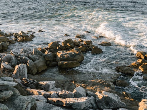 Gündüz Rocky Shore Fotoğrafı