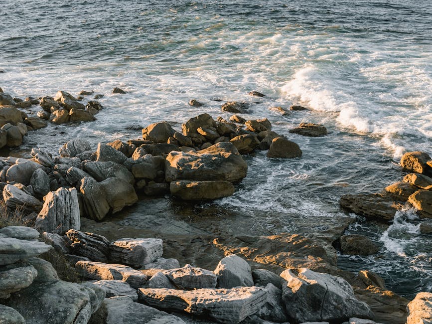 Photo of Rocky Shore During Daytime