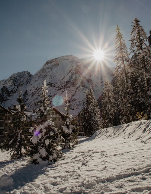 Free Winter Mountain Landscape and Morning Sun with Sunbeams Stock Photo