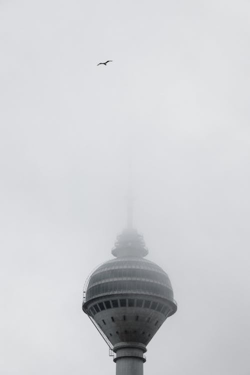 A bird flying over the top of a tall building