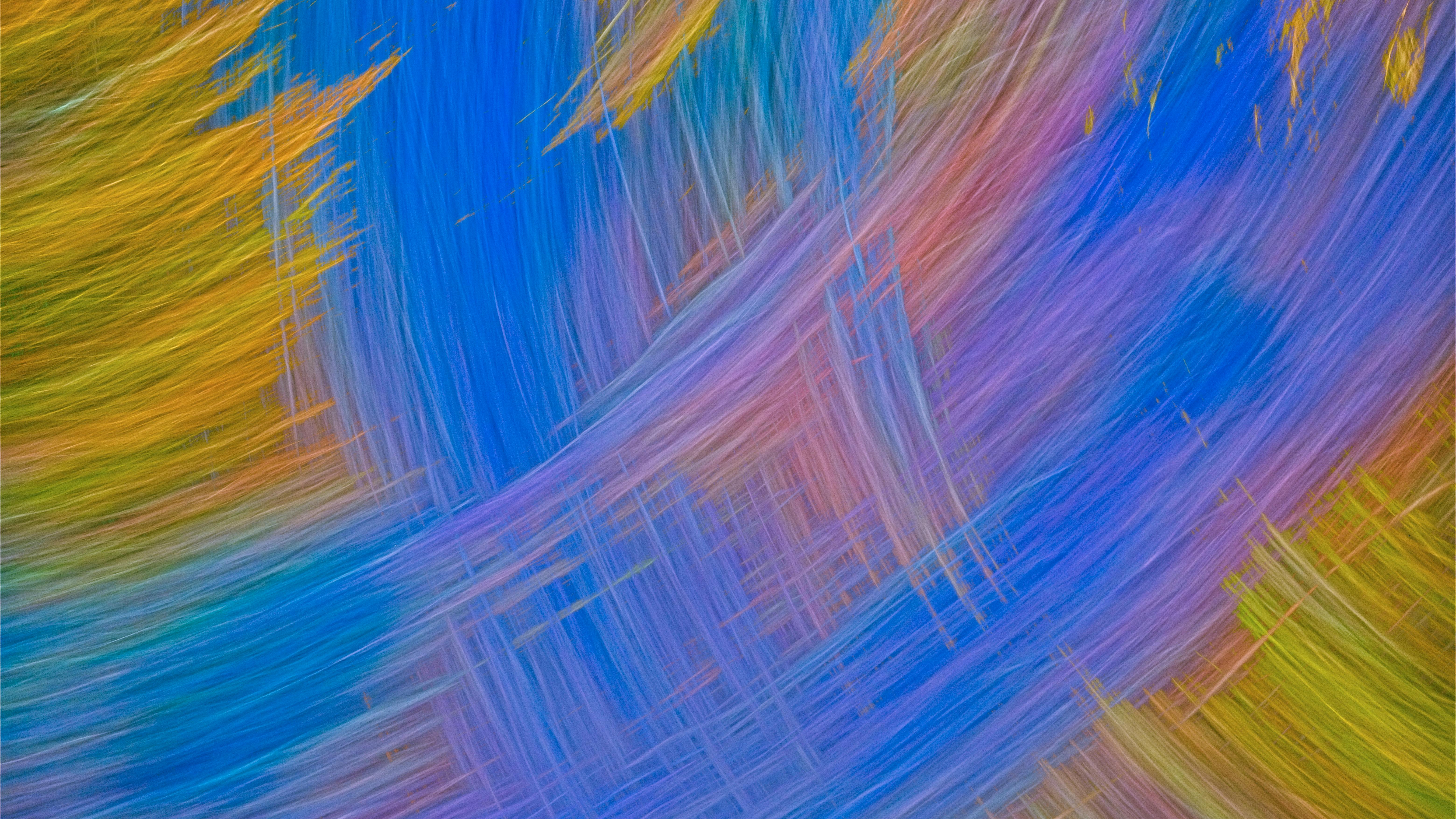 Kostnadsfria Kostnadsfri bild av abstrakt, abstrakt botanik, abstrakt design Stock foto