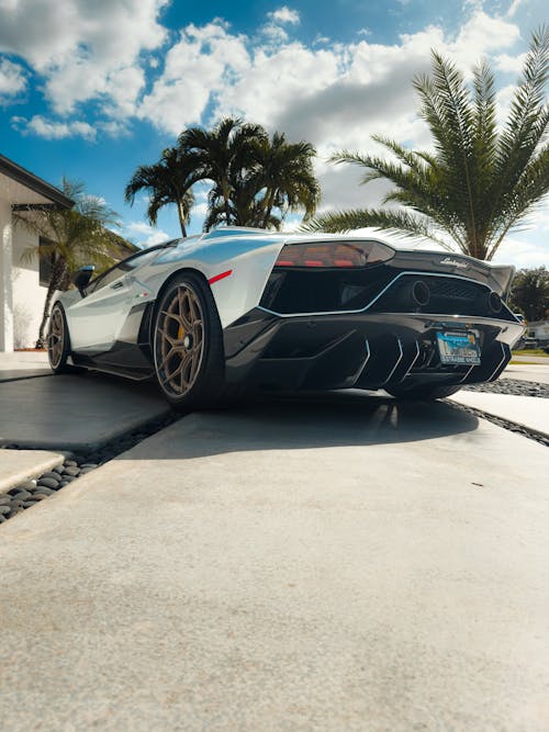 Fotobanka s bezplatnými fotkami na tému aventador, Lamborghini, palmy
