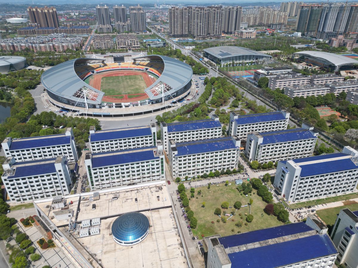 公共服务与民生工程项目效果图