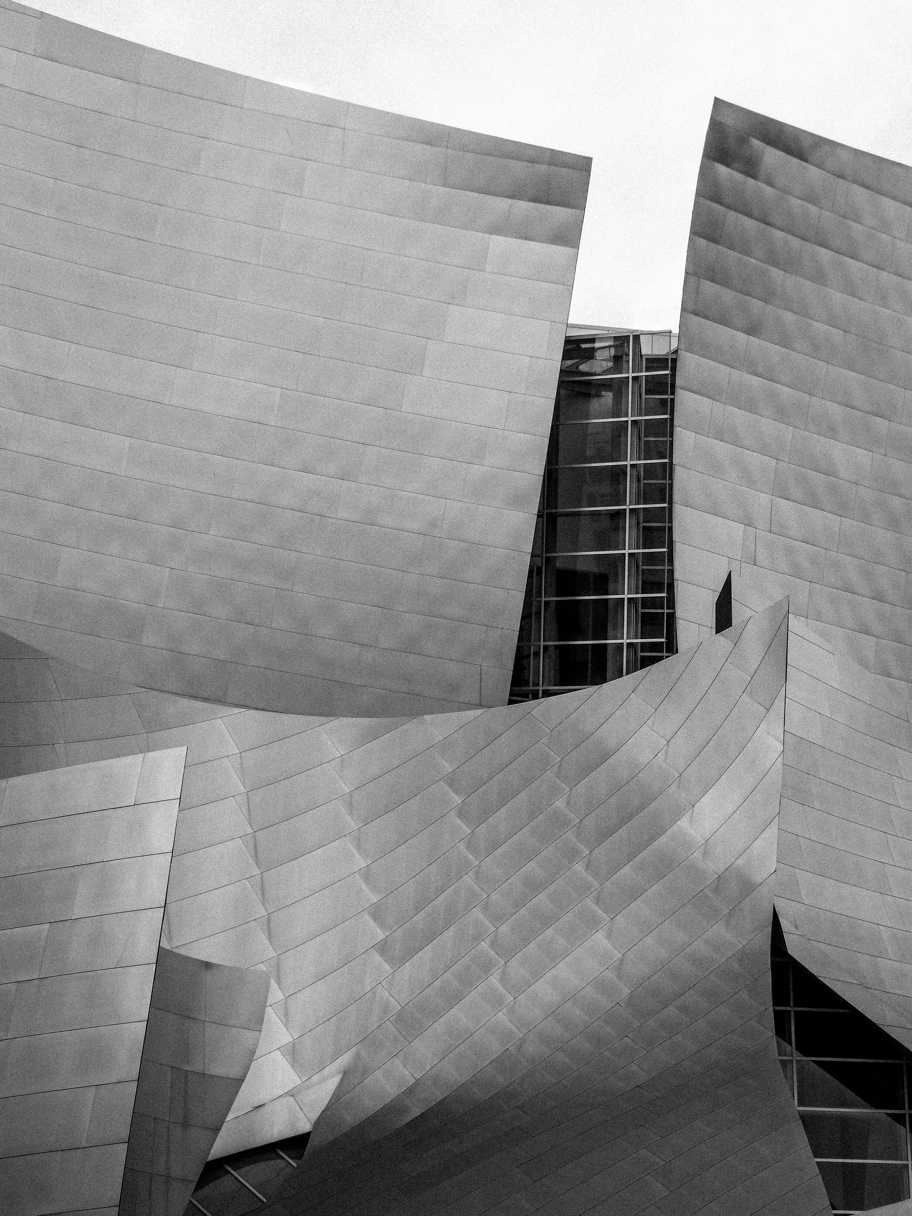 walt disney concert hall walls in black and white