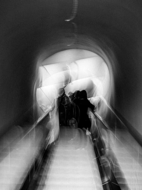 Fotobanka s bezplatnými fotkami na tému abstraktný, chôdza, čierny a biely