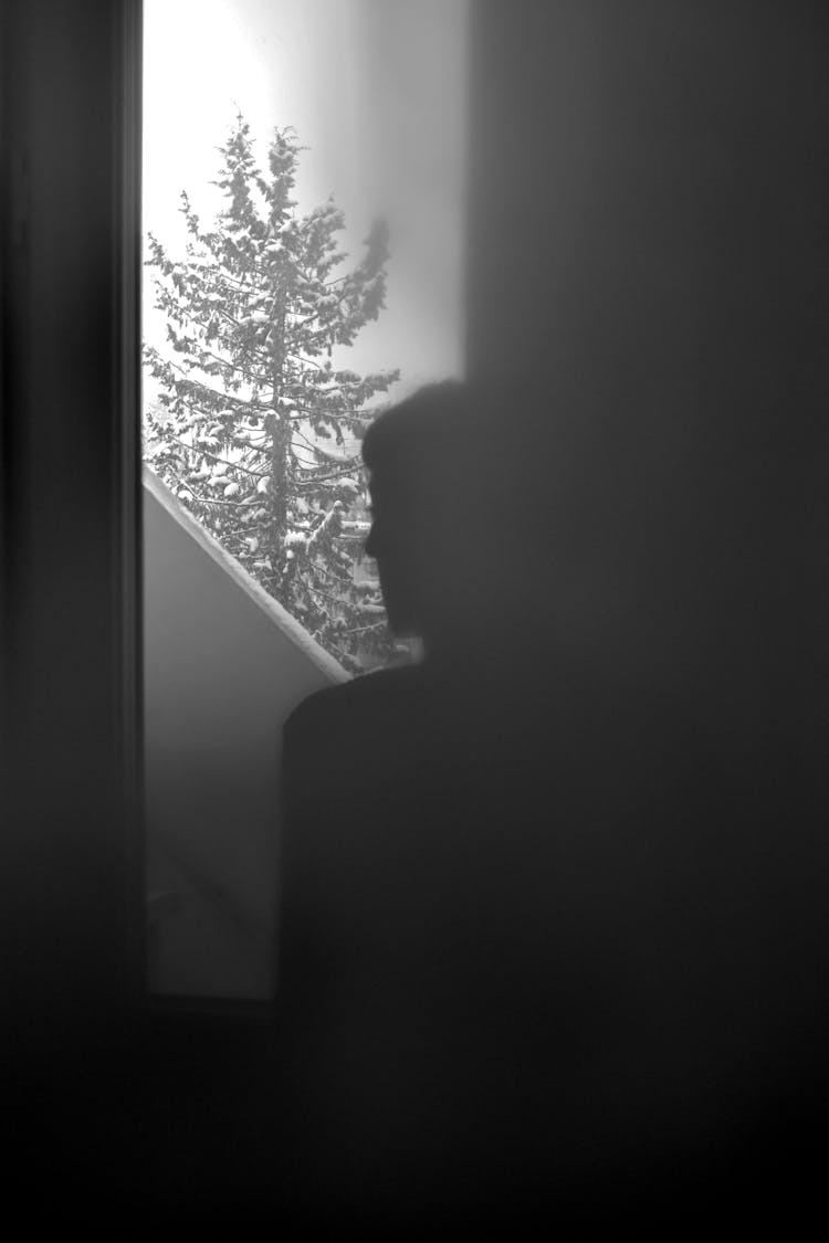 Silhouette Of Person Near Window In Black And White