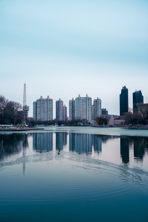 A city skyline with a lake and buildings