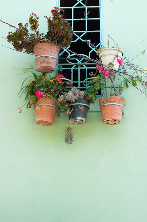 A window with pots hanging from it