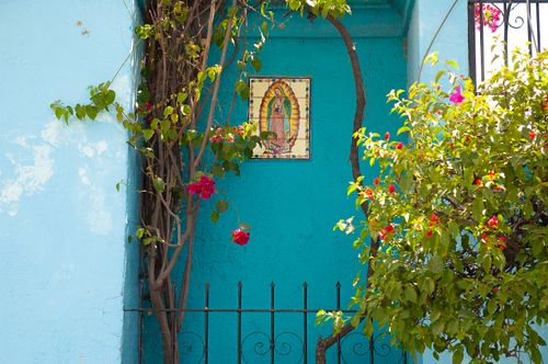 Free stock photo of ajijic, mexico, village Stock Photo