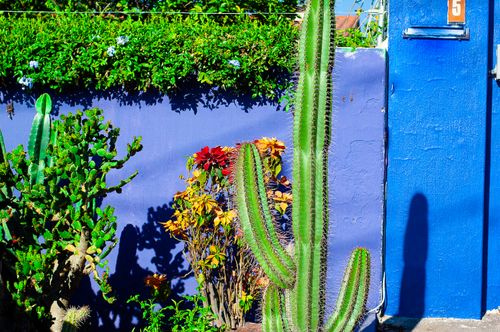 Free stock photo of ajijic, mexico, village Stock Photo