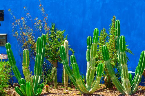 Free stock photo of ajijic, mexico, village Stock Photo
