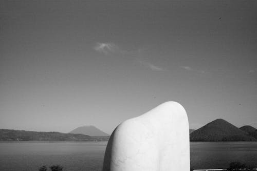 A black and white photo of a sculpture near a lake