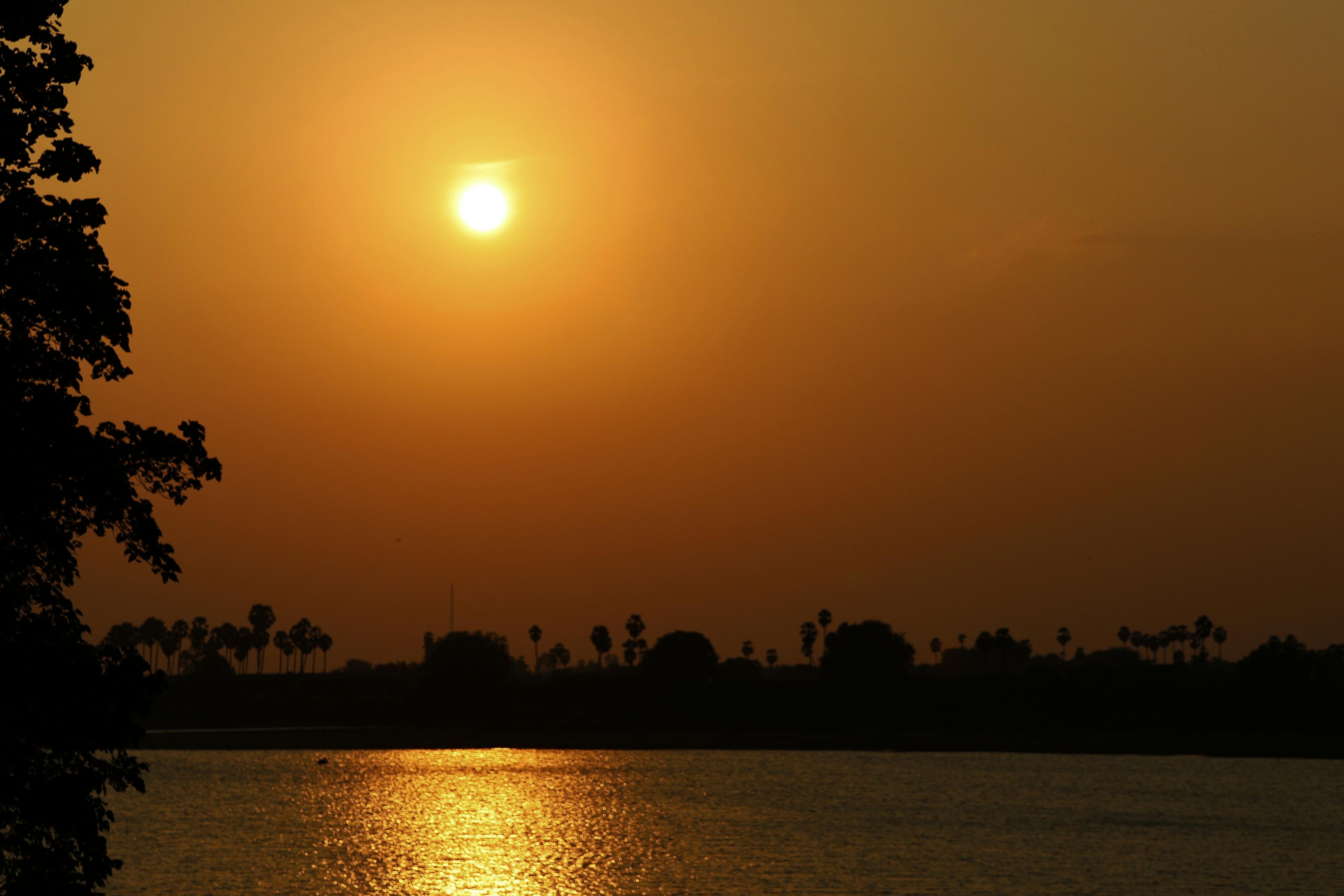Family Safari Ultimate Dubai Zoo Adventure 2025 1 Happy family on a camel ride during a Family Safari in Dubai desert.