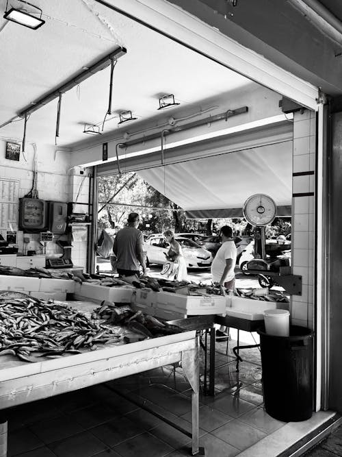 Kostnadsfri bild av fiskaffär, fiskmarknad, gammal skala