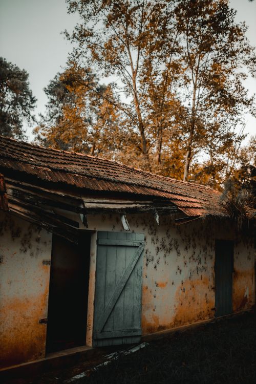 Free An abandoned barn with a rustic charm amidst a countryside setting in autumn. Perfect for rural themes. Stock Photo
