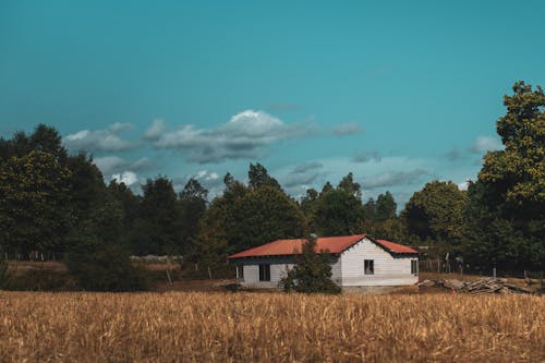 Бесплатное стоковое фото с голубое небо, деревенский, деревья
