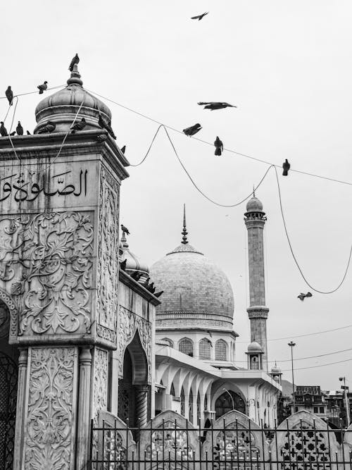 Black and white photo of a mosque with birds flying around it
