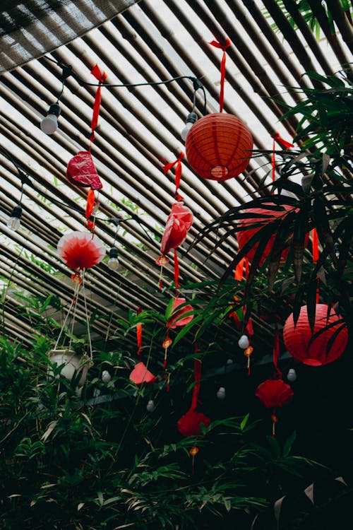 Red lanterns hanging from the ceiling of a room