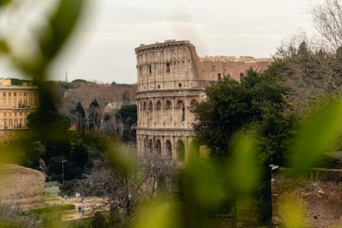 Ingyenes stockfotó akadályozott kilátás, amfiteátrum, Colosseum témában