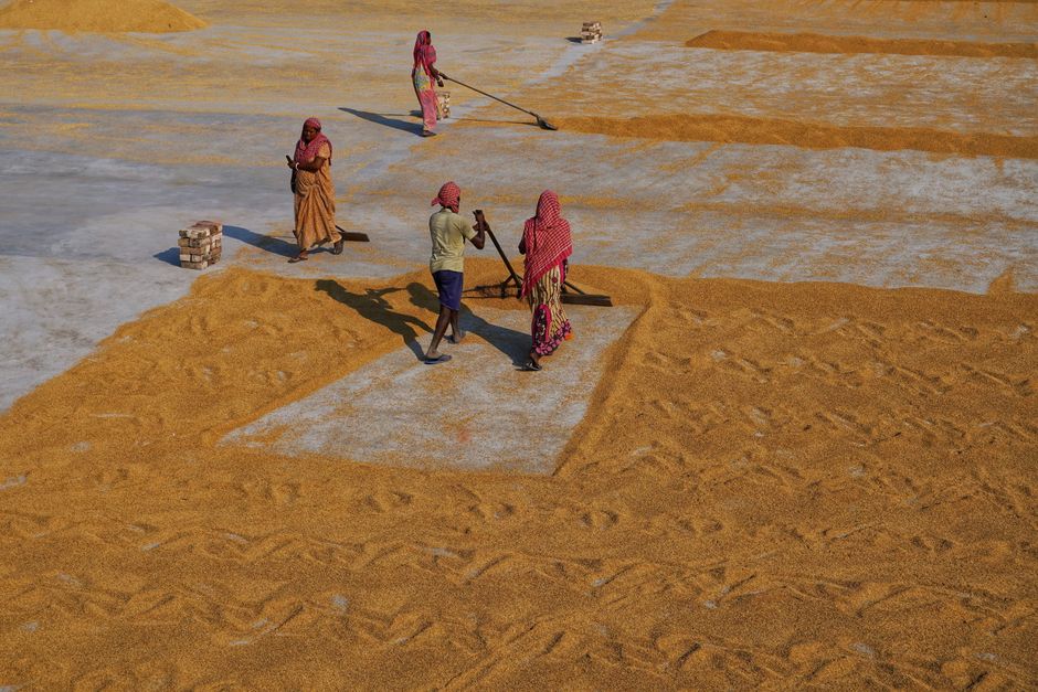 Migrant Workers Send Rs 2.79 Billion Out of Mauritius in Q1 2026