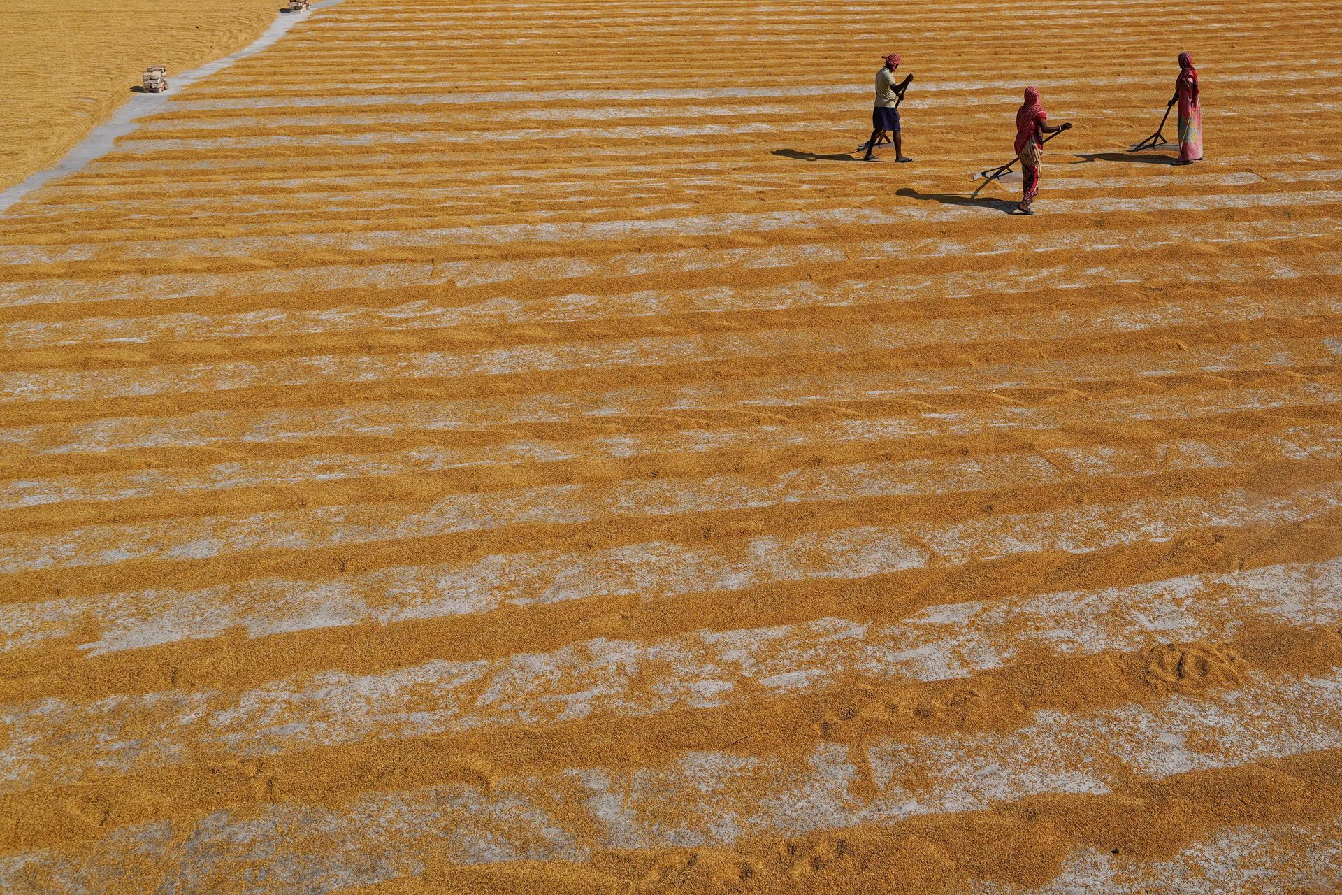 People Working on a Farm