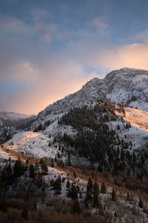 Fotobanka s bezplatnými fotkami na tému hory, kopce, krajina