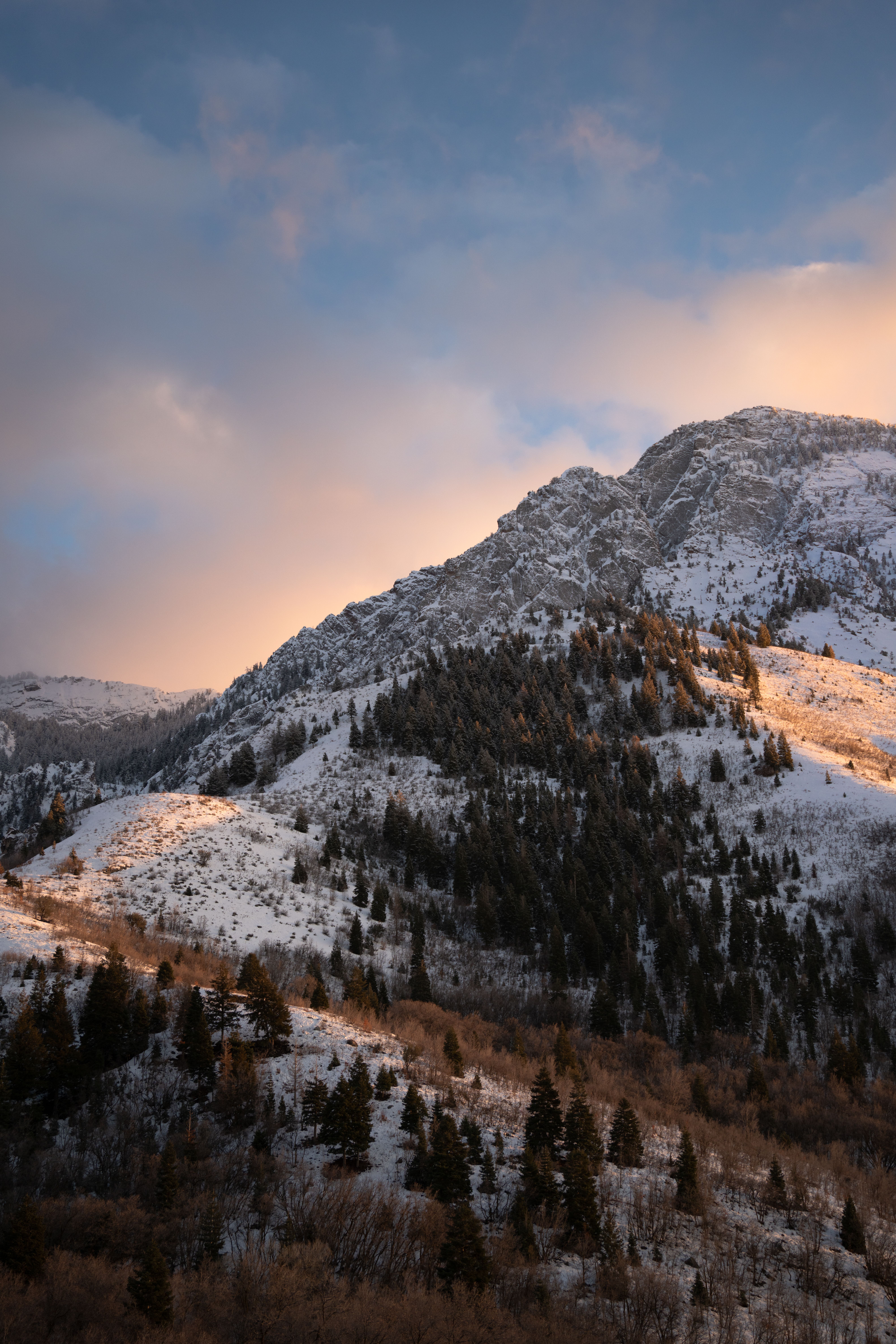 A snowy mountain with trees and snow covered ground · Free Stock Photo
