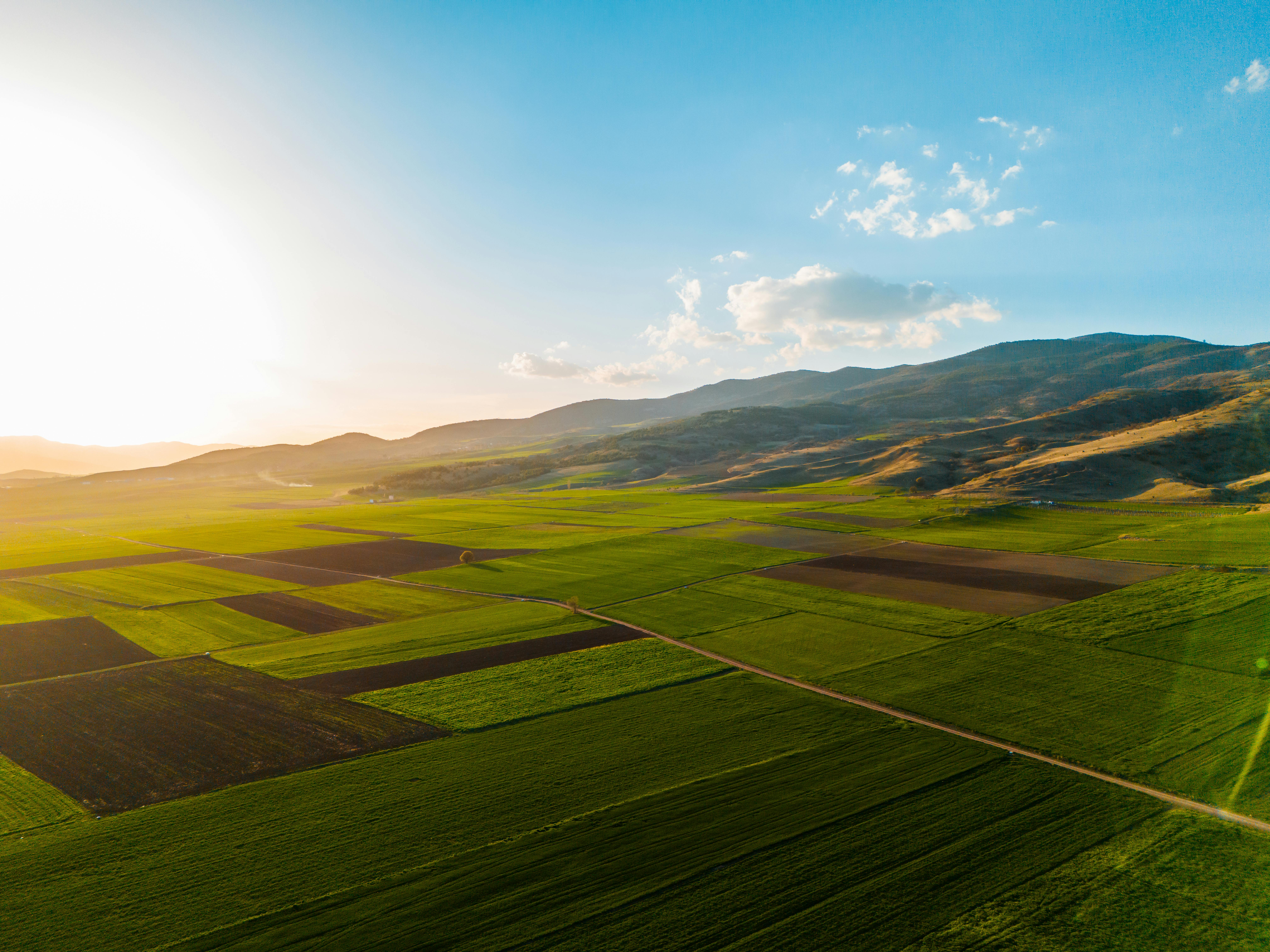 Expansive green fields under a vibrant sunset sky, showcasing rural beauty and tranquility.