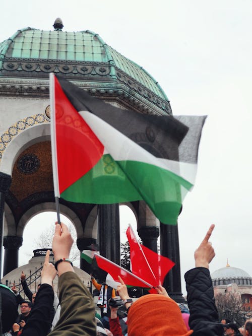 Photos gratuites de dinde, drapeaux palestiniens, gaza