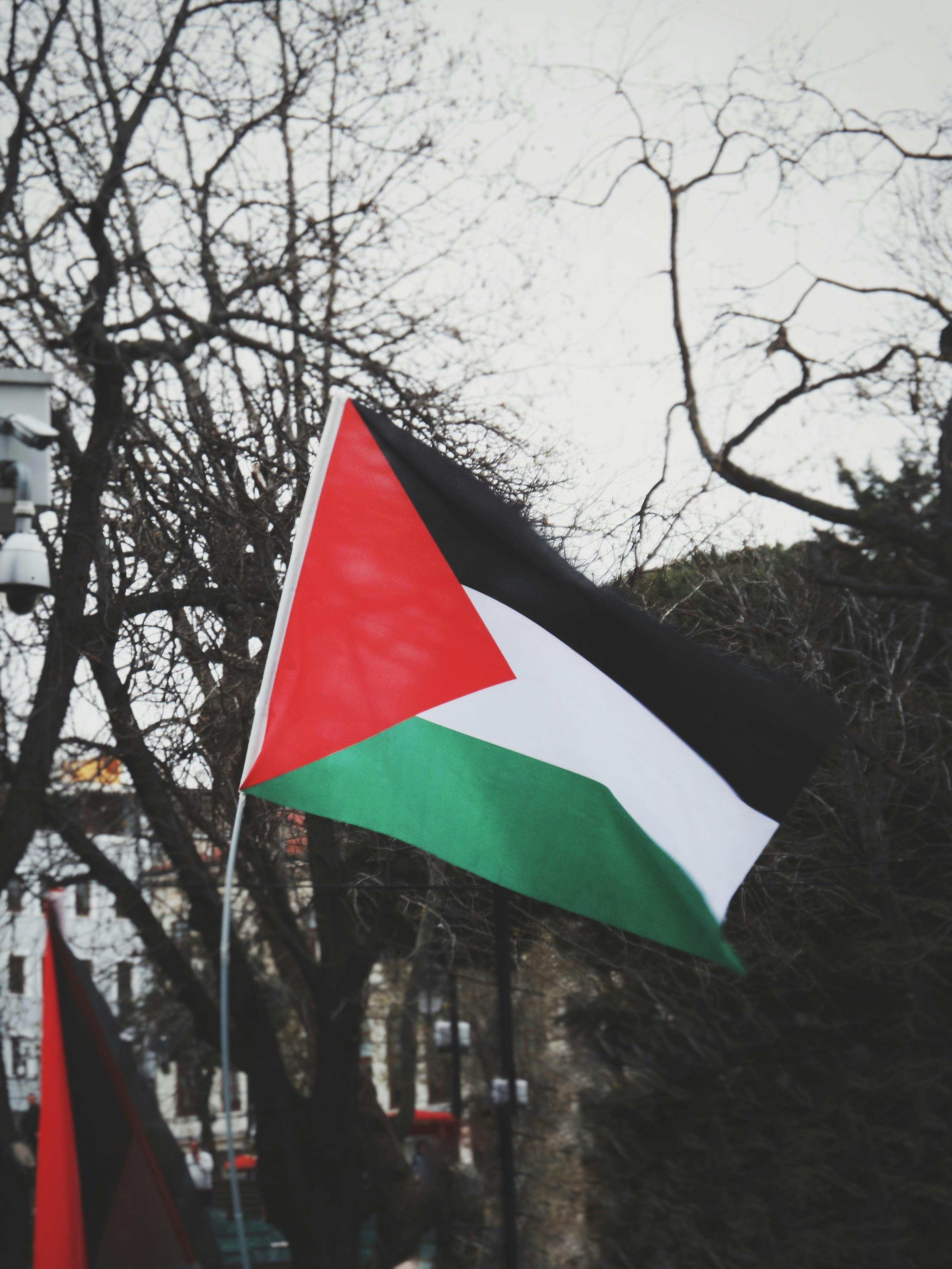 Palestine Flags in Park with Trees · Free Stock Photo