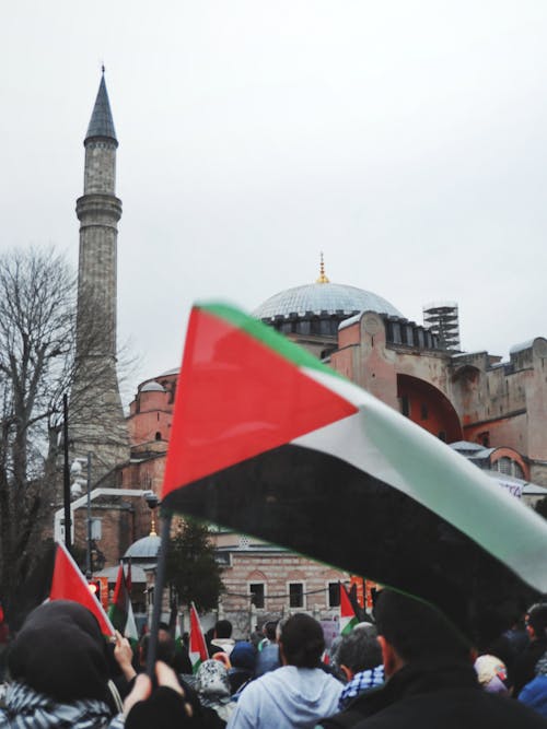 Photos gratuites de dinde, drapeaux palestiniens, foule