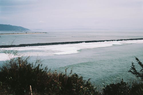 The PNW coastline