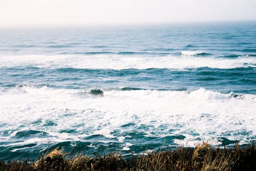Ilmainen kuvapankkikuva tunnisteilla merimaisema, ruoho, sininen meri