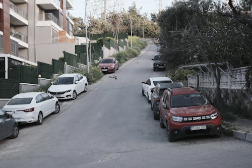 A street with cars parked on it and a building