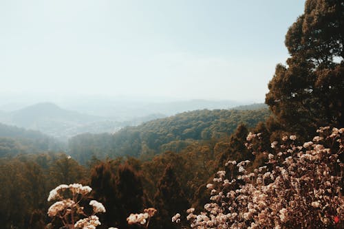 Kostenloses Stock Foto zu berge, gebirge, landschaft